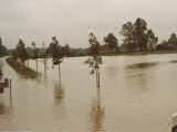 Hochwasser 1983-5