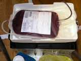 Blutspenden 2005-16