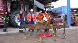 Hilfeleistungstag 2015-08