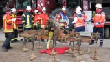 Hilfeleistungstag 2015-23