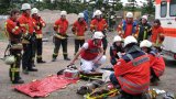 Hilfeleistungstag 2015-29