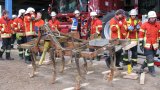 Hilfeleistungstag 2015-35