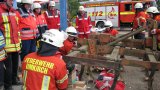 Hilfeleistungstag 2015-74