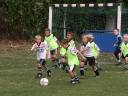 F-Jugendturnier 2003-04