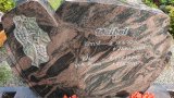 20250718_093100s.jpg 20250718_093100s.jpg