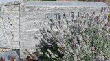 20250718_093342s.jpg 20250718_093342s.jpg