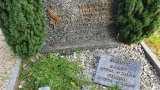 20250718_093422s.jpg 20250718_093422s.jpg
