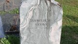 20250718_093517s.jpg 20250718_093517s.jpg