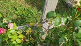 20250718_093656s.jpg 20250718_093656s.jpg
