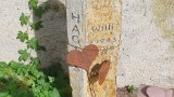 20250718_094948s.jpg 20250718_094948s.jpg