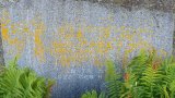 20250719_095232s.jpg 20250719_095232s.jpg