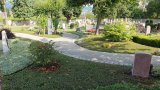 20250719_101600s.jpg 20250719_101600s.jpg