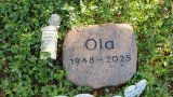 20250719_101834s.jpg 20250719_101834s.jpg
