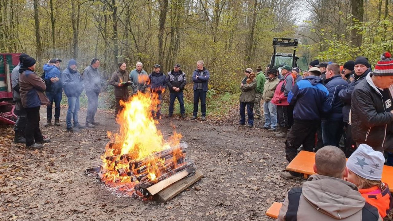 Weiter zu Brennholz