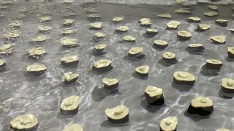 Luftsprudler in den Wasserfiltern 2021-02