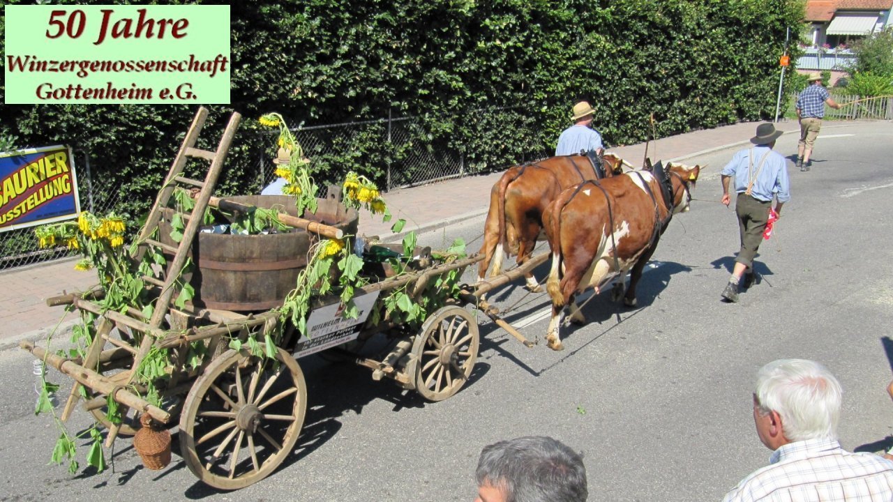 Weiter zu 50Jahre