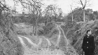 Rebberg vor der Flurbereinigung