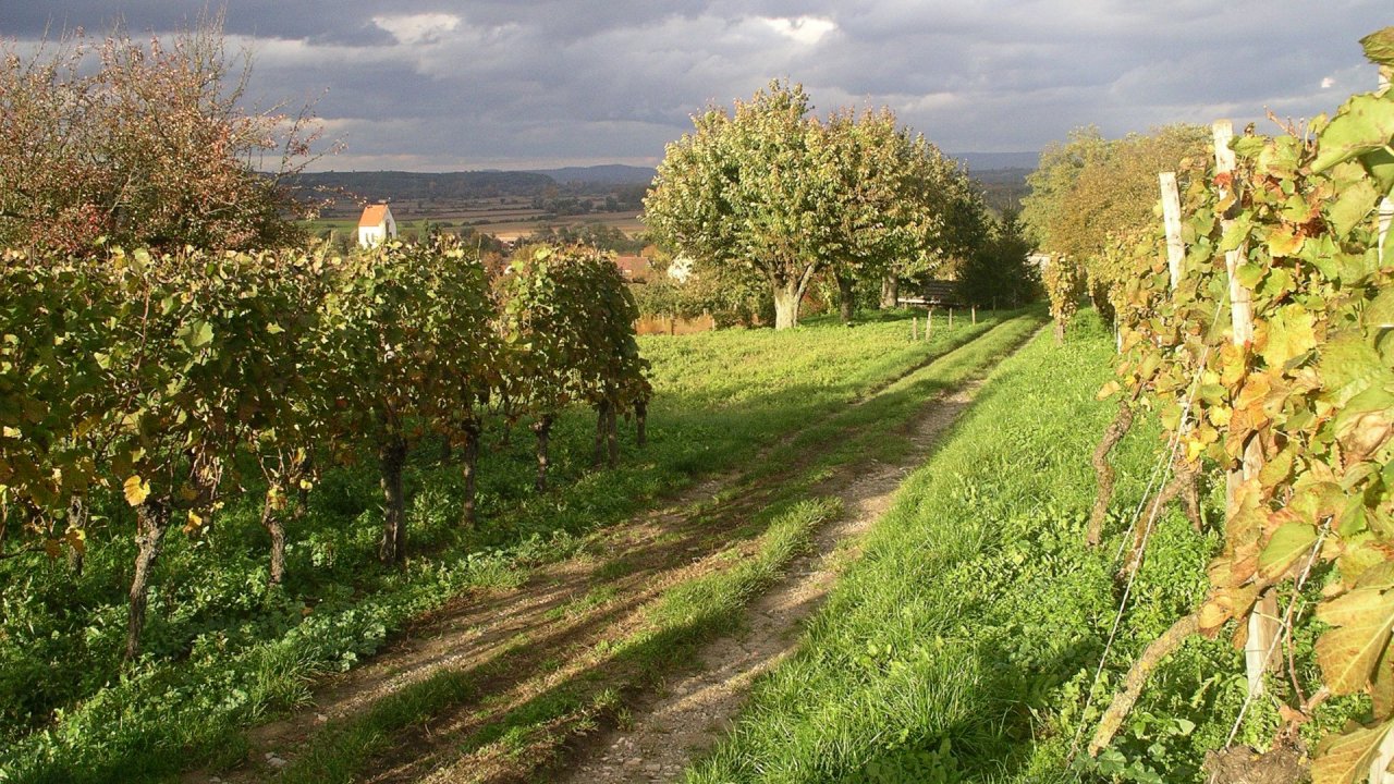 Weiter zu Herbstwanderung