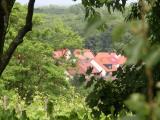 Weinberge blick_erleh