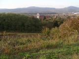 Weinberge blick_kirch