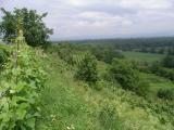 Weinberge blick_mwald