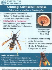 Asiat. Hornisse und Tigermücke